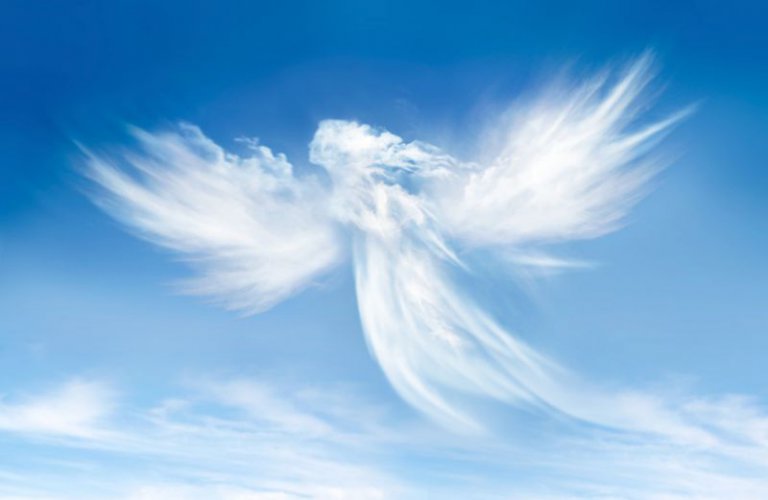 Fotolia_49775771_S.jpg Fotolia_49775771_S.jpg
